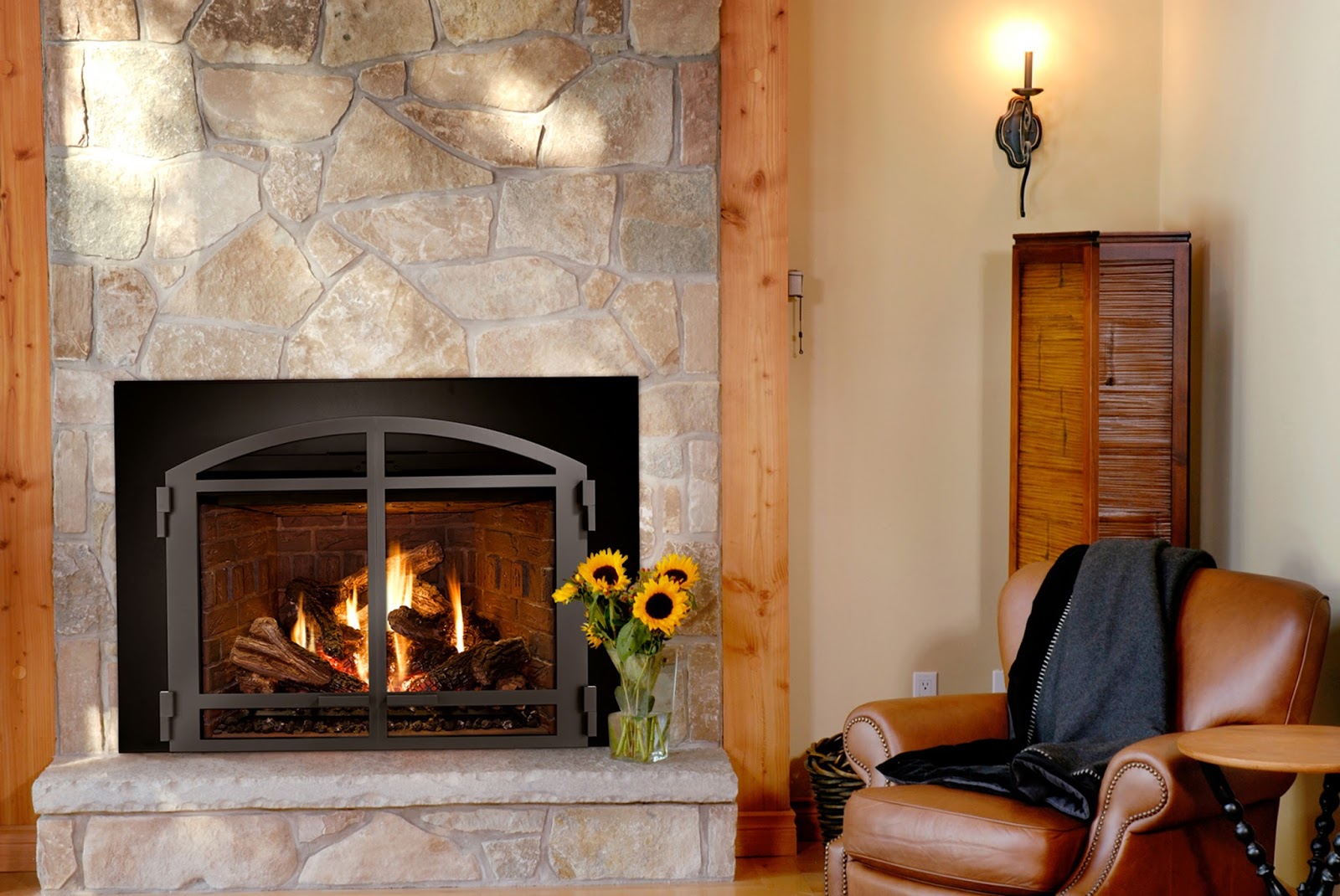 Mendota Gas Fireplaces & Inserts NW Natural Appliance Center